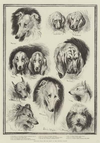 Sketches from the Dog Show at the Crystal Palace by Louis Wain